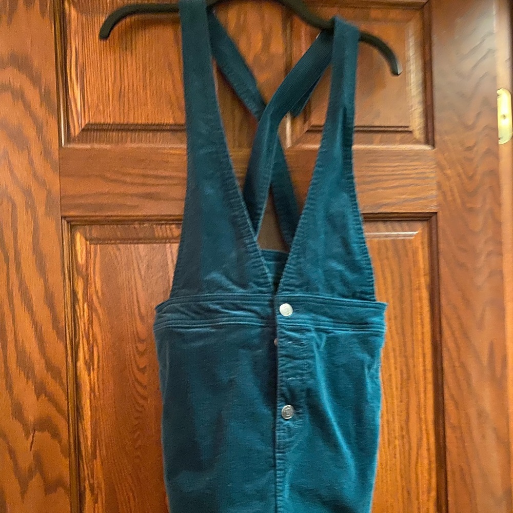 Wildfable Overall skirt